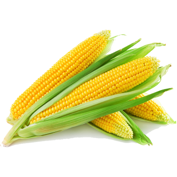 Sweetcorn